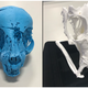 3D-printed skulls from the mummified cat.